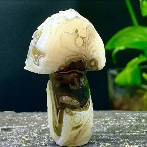 33G Natural Gobi Thousand Eyed Agate Mushroom Shape Natural Gemstone Hand Carved - Picture 3 of 8